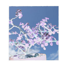 Bonsai inverted purple white against sky portulaca notepads