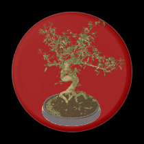 Bonsai magnets