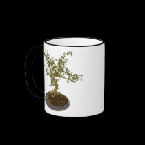 Bonsai mugs