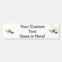Bonsai Photo 10 Bumper Stickers