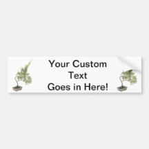 Bonsai Photo 6 Bumper Stickers