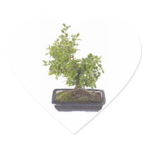 Bonsai Photo 9 Heart Sticker
