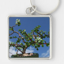 Bonsai portulacaria afra tree 1 key chains