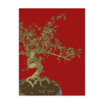 Bonsai postcards by oph3lia Bonsai postcards