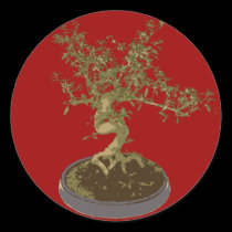 Bonsai stickers