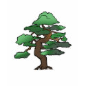 bonsai-tee t-shirts