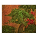 Bonsai Textures posters