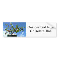 Bonsai tree with spiral effect overlay bumper stickers