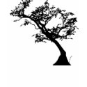 bonsai t-shirts by englishaussie bonsai t-shirts