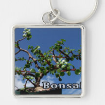 Bonsai w text photograph portulacaria afra tree 1. key chains