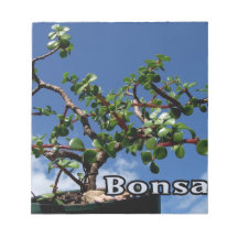 Bonsai w text photograph portulacaria afra tree 1. memo note pad