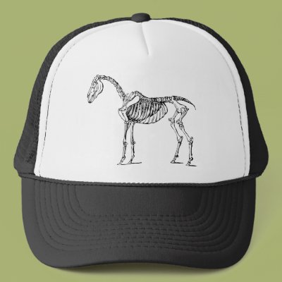 Bony Horse Mesh Hats Zazzle_hat