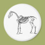 Bony Horse Fridge Magnets