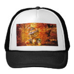 teddy, bear, cute, adorable, woods, forest, halloween, night, funny, costume, broom, hat
