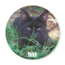 BOO! BLACK KITTY MAGNET by minx267 BOO! BLACK KITTY MAGNET