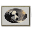 Boo cards by Catahoula Boo cards