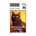 Boo - dognkittycity.org Stamp