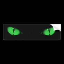 Boo - Emerald Bumper Sticker bumper stickers