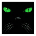 Boo - Emerald Print
