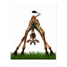 Boo! Says Olympia Giraffe. Post Card