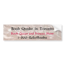 Boob Quake in Toronto : Shining Satin Silver Bumper Stickers