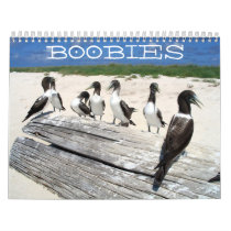 Boobies Calendar