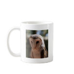 Boobook Owl Mugs
