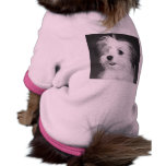 Booboolicious Dog T Shirt