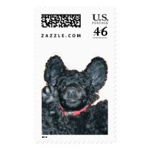 boodles the bat postage