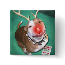 Boodolph Pinback Buttons