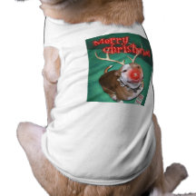 Boodolph Pet Clothing