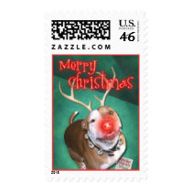 Boodolph Stamp