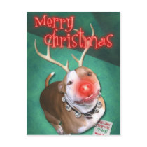 Boodolph postcards by HardtGraphicArdts Boodolph postcards