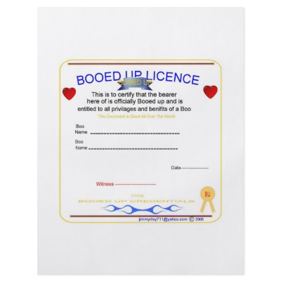 booed up licence flyer by JIMMY77