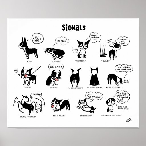 Boogie Signals by Lili Chin Print