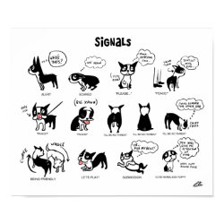 Boogie signals print