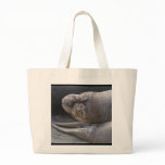 BOOK BAG - Northern Elephant Seal