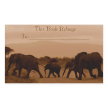 Book Label Stickers