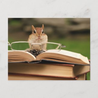 Cute studious chipmunk reading a book photo