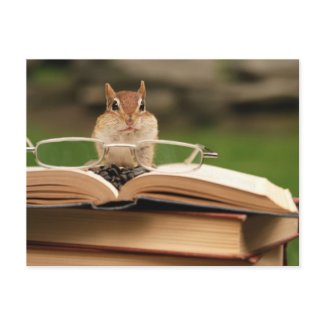 Cute studious chipmunk reading a book photo