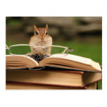 Book loving chipmunk post cards