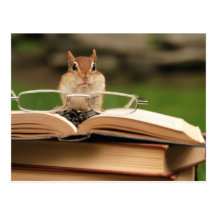 Book loving chipmunk post cards