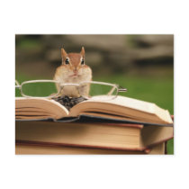 Book loving chipmunk post cards