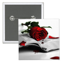 Book of Broken Hearts Pins