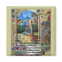 Book of Hours magnets