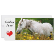 Bookmark - Eriskay Pony wild flowers Full Color Rack Card
