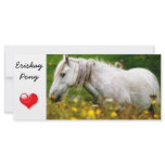 Bookmark - Eriskay Pony wild flowers Full Color Rack Card