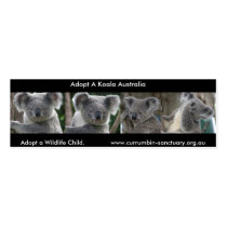 Bookmark Koalas Adopt a Wildlife Child Australia Business Card Templates