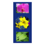 bookmark, orchid, green leaves, cloudy sky, blue custom rack card