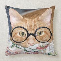 Bookworm tabby pillow